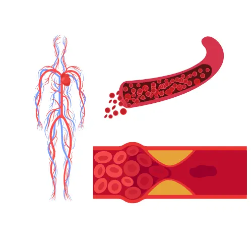 Arteriosclerosis, Thrombosis and Vascular Biology